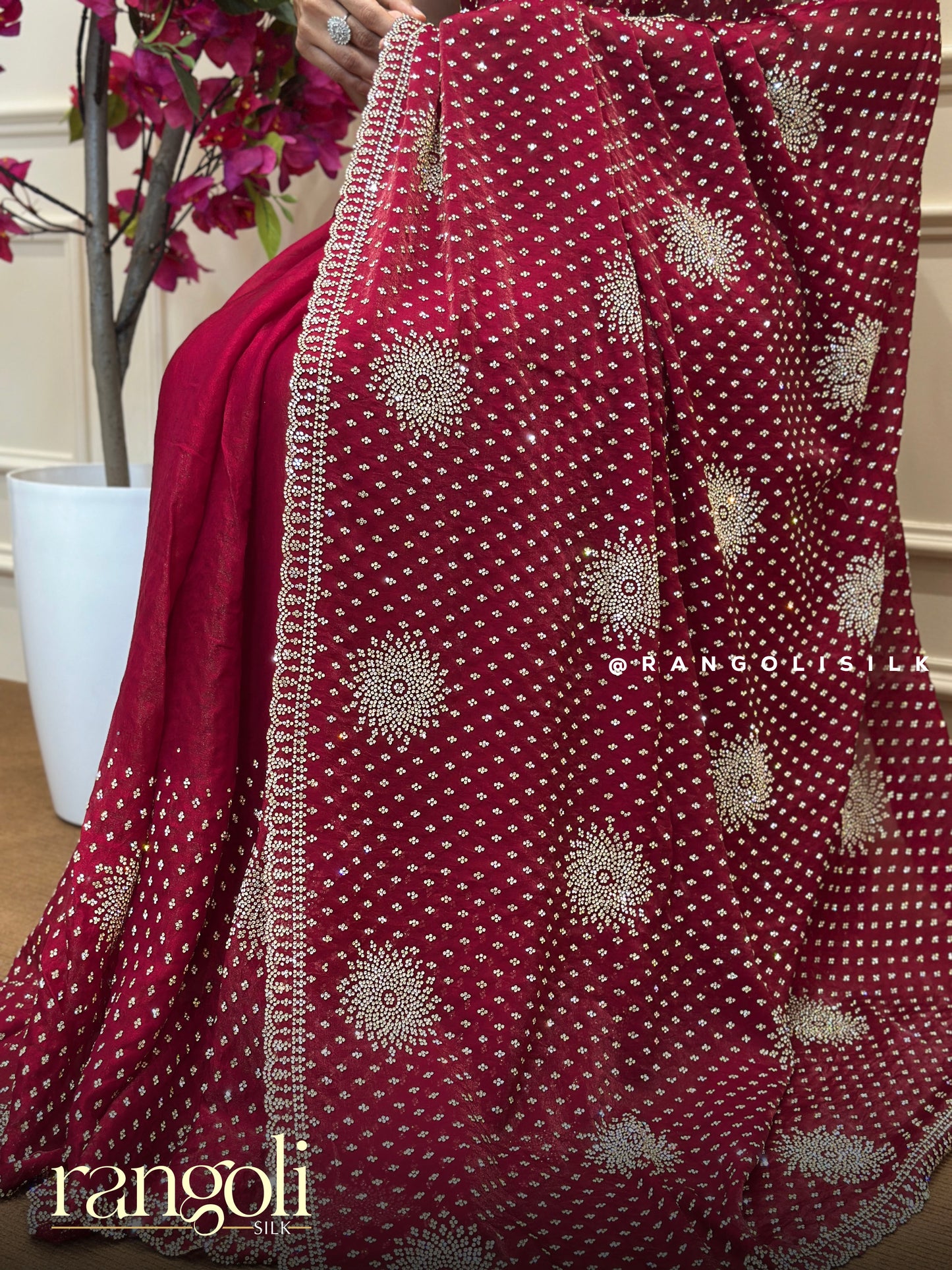 Ruby Red Designer Saree with Intricate Embellishments & Regal Border - Post 764